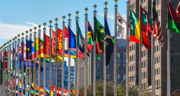The United Nations General Assembly (UNGA)