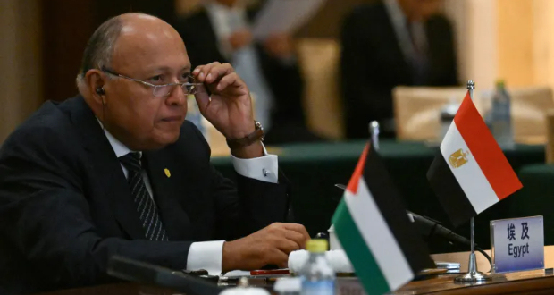 Egypt's Foreign Minister Sameh Shoukry [Pedro Pardo/AFP]