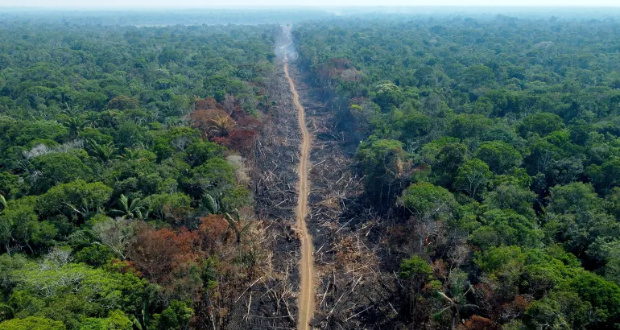 A deforested and burned area is seen on a stretch of the BR-230 highway in Humaita in Brazil's Amazonas state on September 16, 2022 [File: Michael Dantas/AFP]