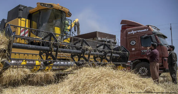 Iraq reported record wheat harvests this year despite drought — thanks to irrigation with groundwater.