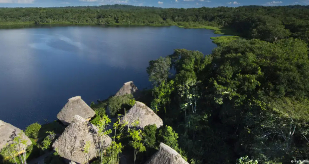 The Yasuni National Park was designated a world biosphere reserve by UNESCO in 1989