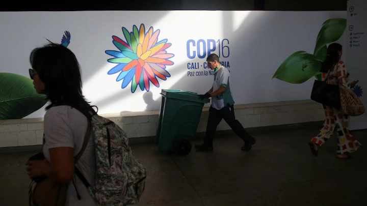 People walk through the Valle del Pacifico event center, ahead of the 16th United Nations Biodiversity Summit (COP16), in Cali, Colombia October 20, 2024. REUTERS/Juan David Duque\