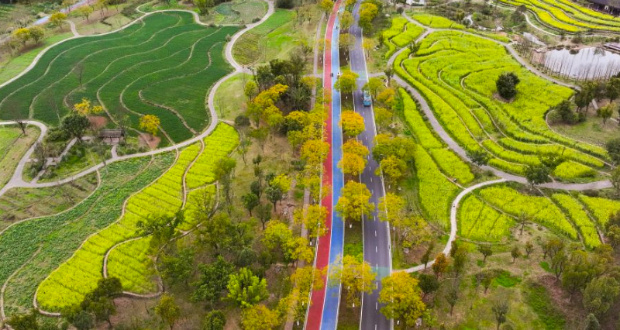 An aerial drone photo shows a view of Guangyang Isle in southwest China's Chongqing, March 16, 2024. Guangyang Isle, the most extensive green island in the upper reaches of the Yangtze River, has been turned into an ecological restoration and protection "classroom" for ecotourists and school children. The local ecosystem and biodiversity were once seriously threatened due to real-estate projects in the area. However, the local government brought harmful projects of this sort to a halt in 2017, s