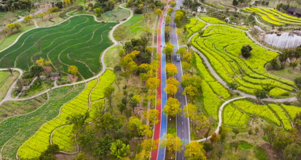 An aerial drone photo shows a view of Guangyang Isle in southwest China's Chongqing, March 16, 2024. Guangyang Isle, the most extensive green island in the upper reaches of the Yangtze River, has been turned into an ecological restoration and protection "classroom" for ecotourists and school children. The local ecosystem and biodiversity were once seriously threatened due to real-estate projects in the area. However, the local government brought harmful projects of this sort to a halt in 2017, s